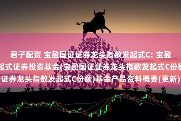 君子配资 宝盈国证证券龙头指数发起式C: 宝盈国证证券龙头指数型发起式证券投资基金(宝盈国证证券龙头指数发起式C份额)基金产品资料概要(更新)