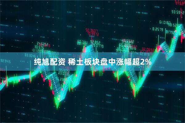 纯旭配资 稀土板块盘中涨幅超2%