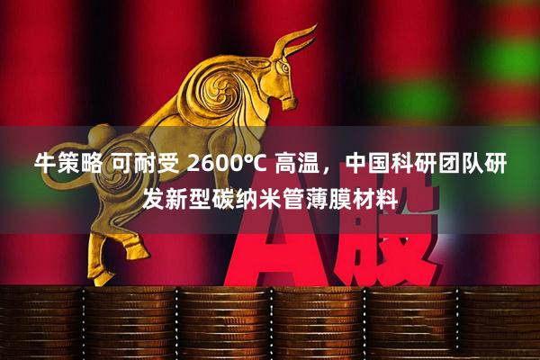 牛策略 可耐受 2600℃ 高温，中国科研团队研发新型碳纳米管薄膜材料