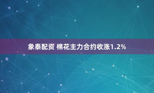 象泰配资 棉花主力合约收涨1.2%